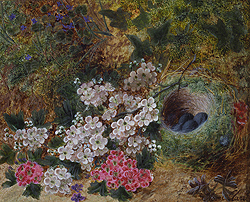 Flowers and Bird\'s Nest by a Mossy Bank - Oliver Clare