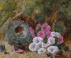 Still Life of Flowers and Bird\'s Nest - Oliver Clare