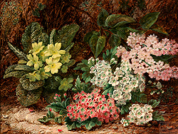 Still Life of Flowers - Oliver Clare
