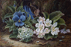 Still Life of Pansies and Flowers - Oliver Clare