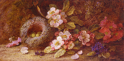 Still Life of Flowers with Bird\'s Nest - Vincent Clare
