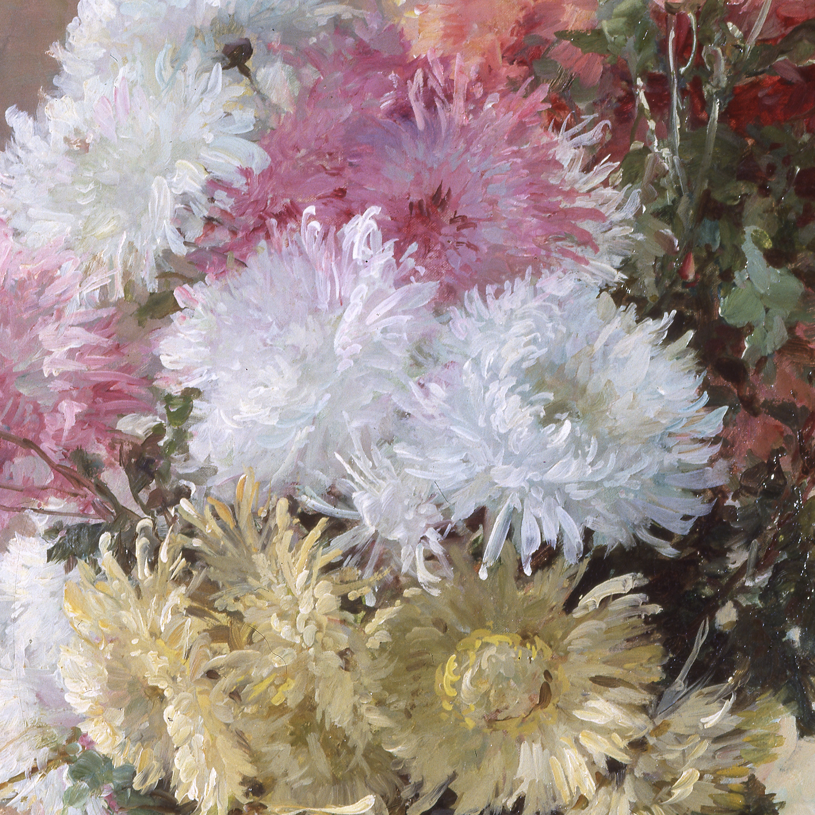 Chrysanthemums - Furcy De Lavault Albert Tibule
