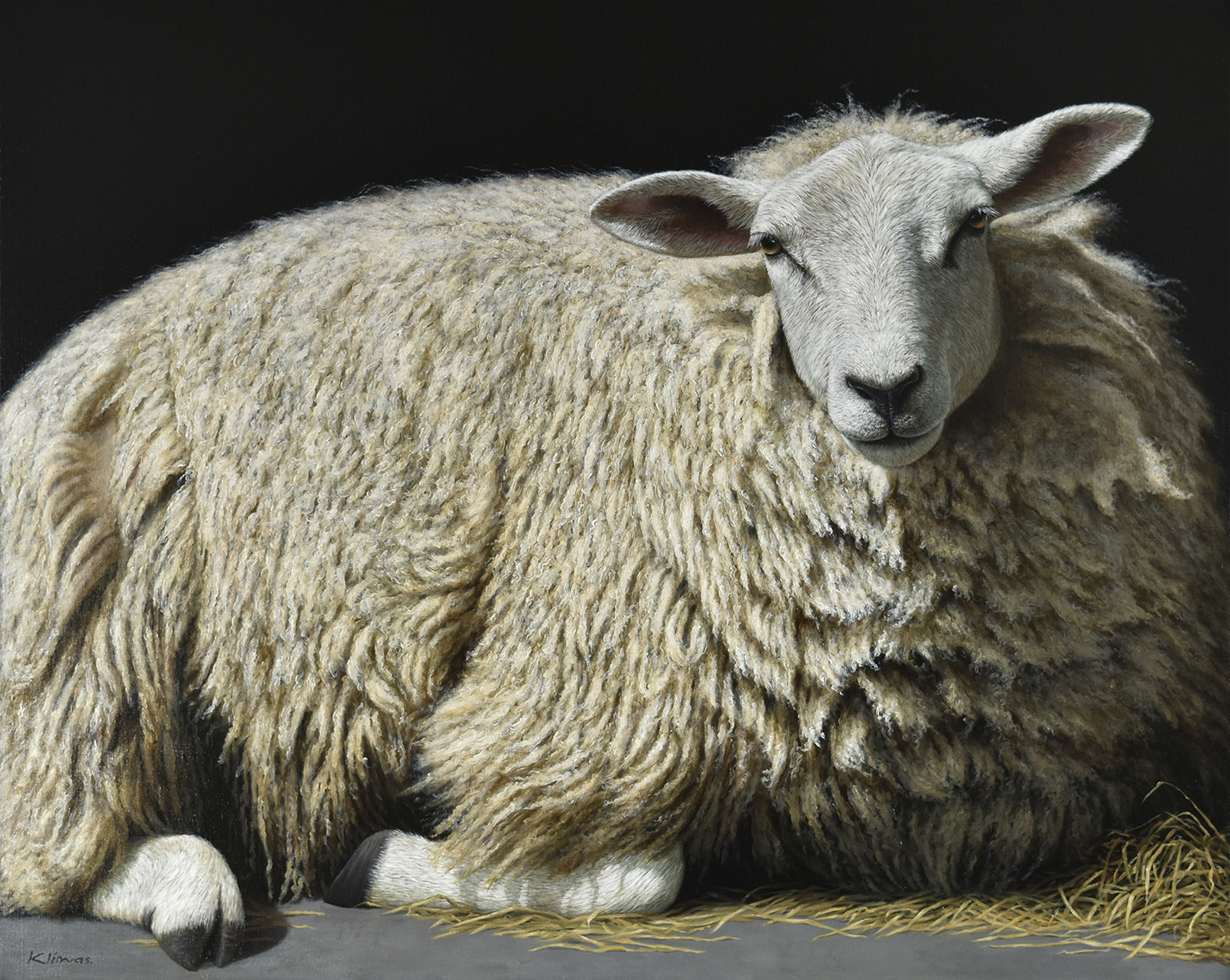 Emmelie the Sheep - Alexandra Klimas