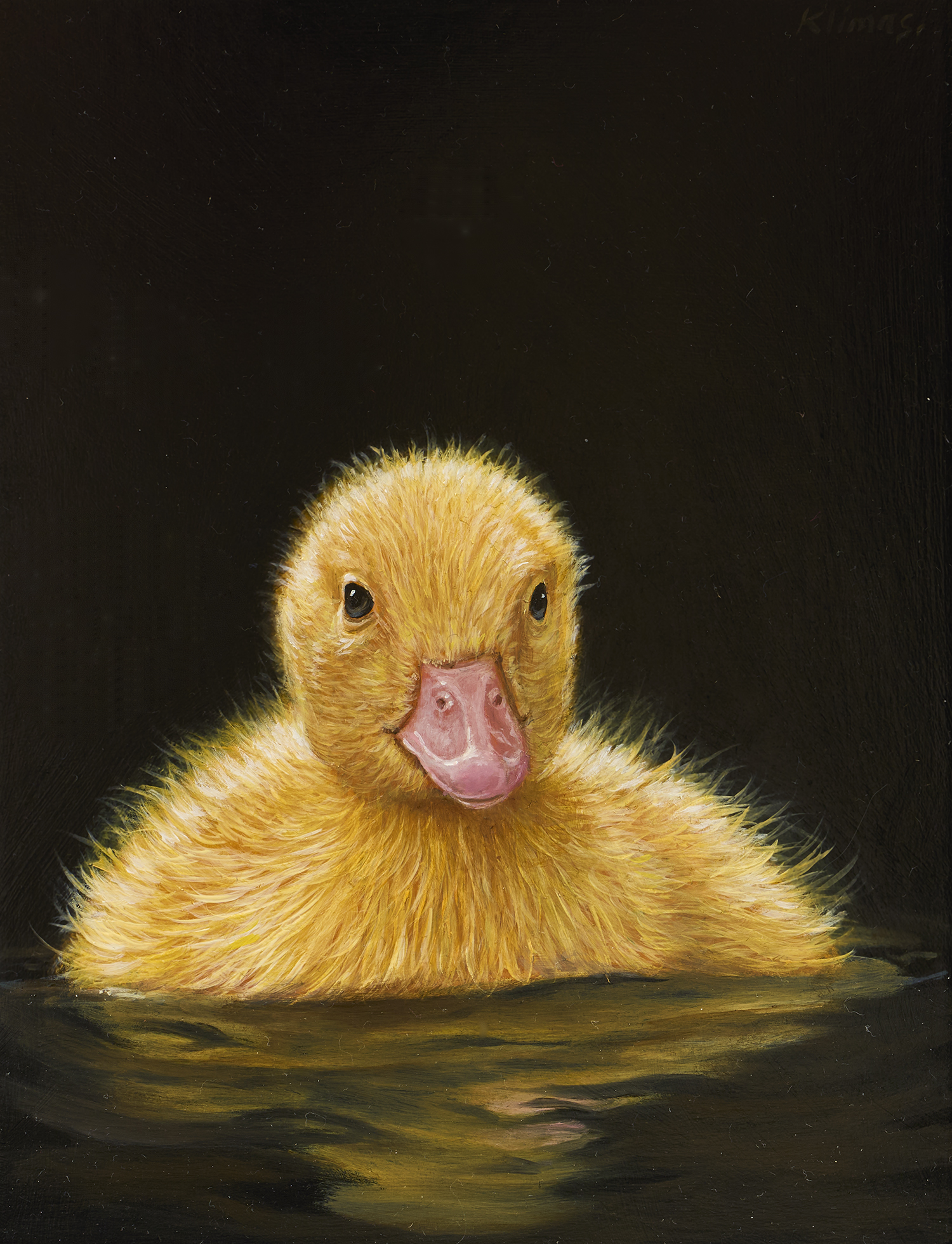 Duckling Elsie - Alexandra Klimas