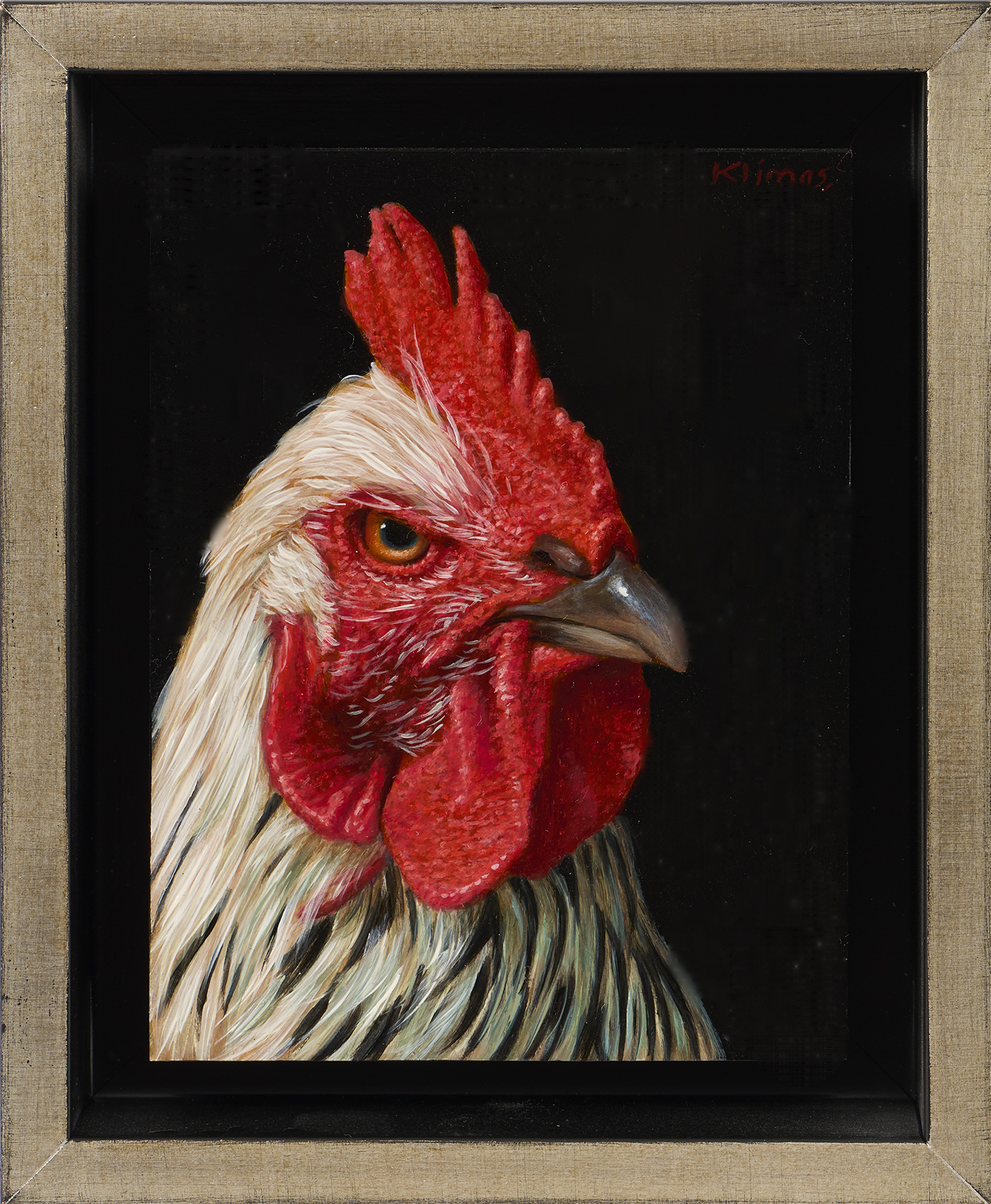 Charlie the Rooster \"Enough Clucking!\" - Alexandra Klimas