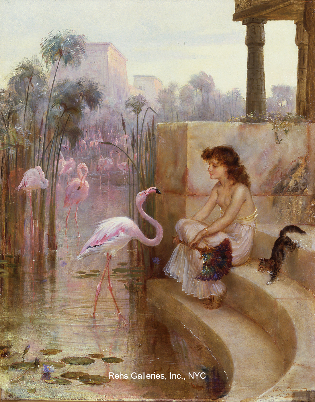The Pink Flamingo - Drummond, Arthur