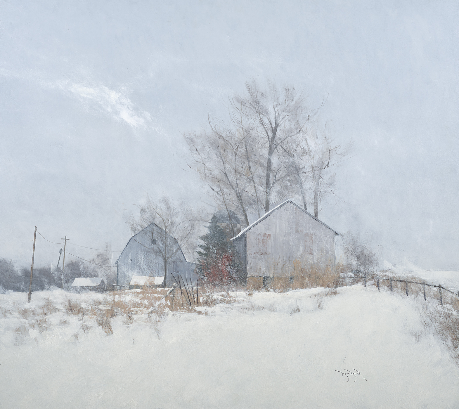 ben_bauer_bb1159_blowing_snow_in_buffalo_county_wi.jpg