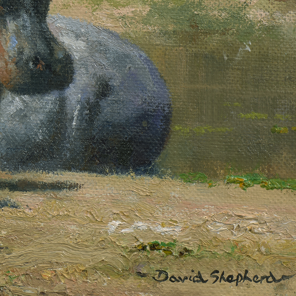 Hot Hippos - Shepherd, David