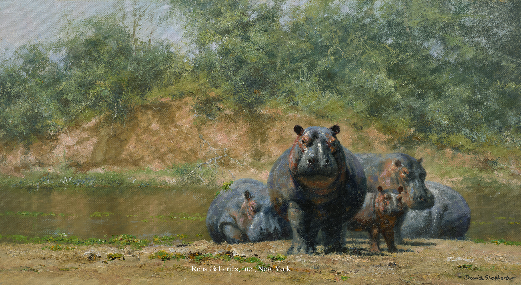 Hot Hippos - Shepherd, David