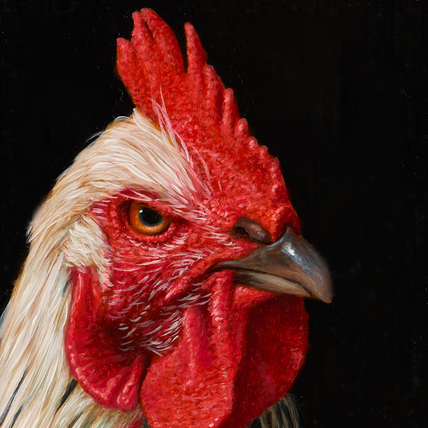 Charlie the Rooster \