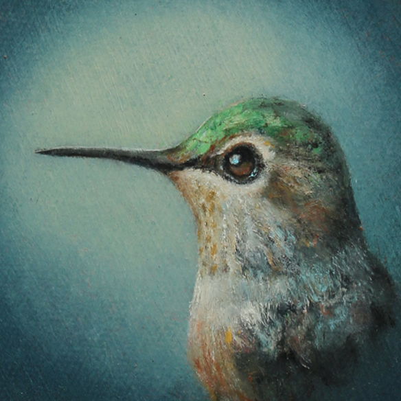 Tyrone (Hummingbird) - Carrie Goller