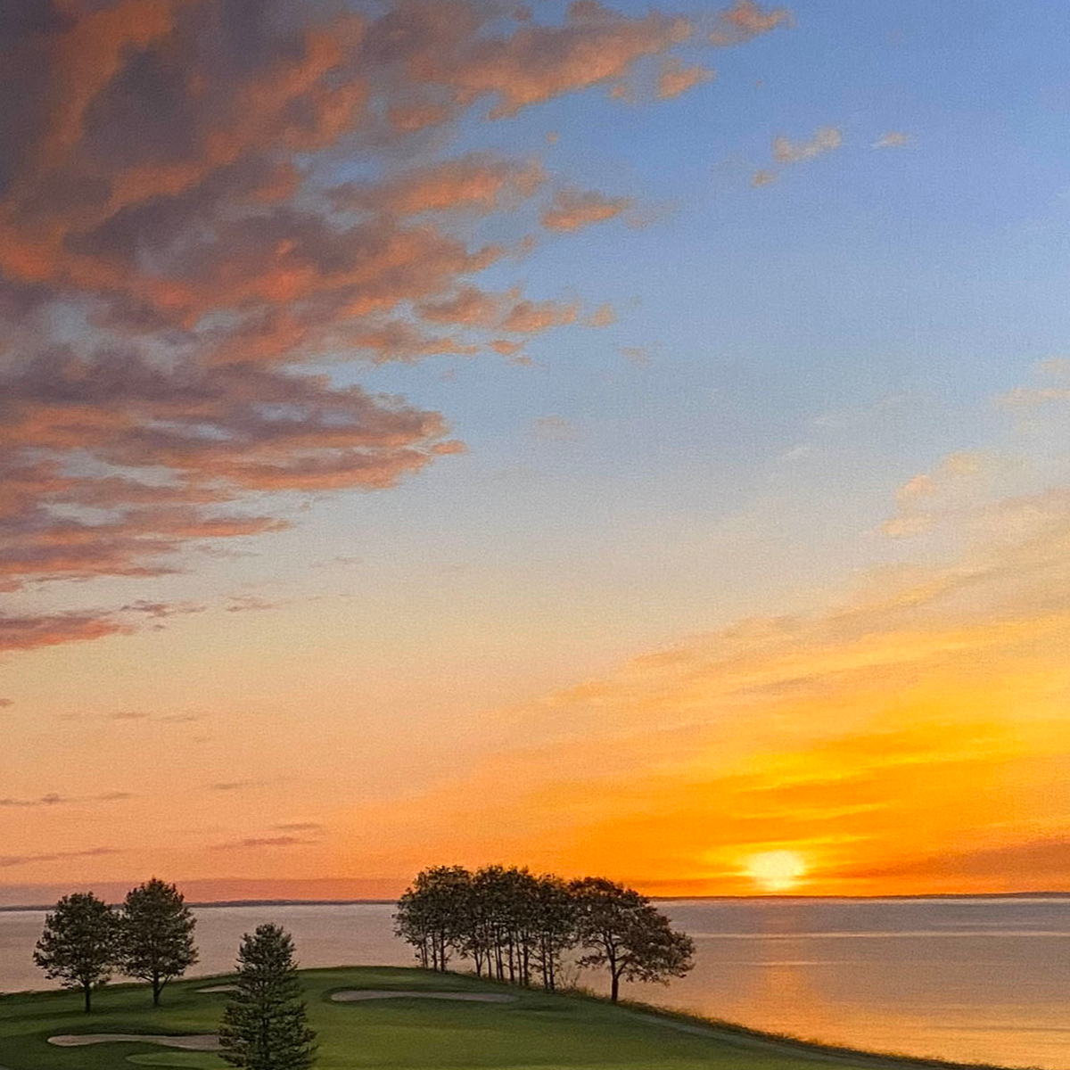 Morning Glory - Gail Descoeurs