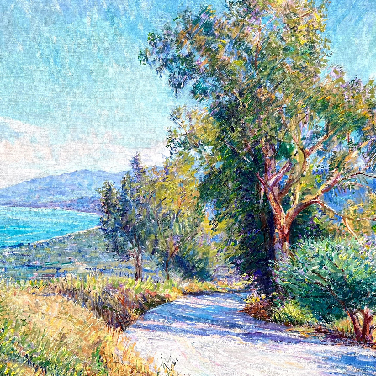 Eucalyptus Bay - Leo Mancini-Hresko