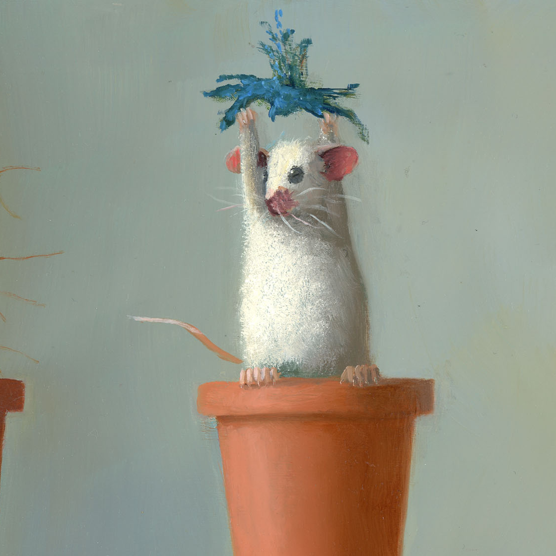 Be the Cactus - Stuart Dunkel