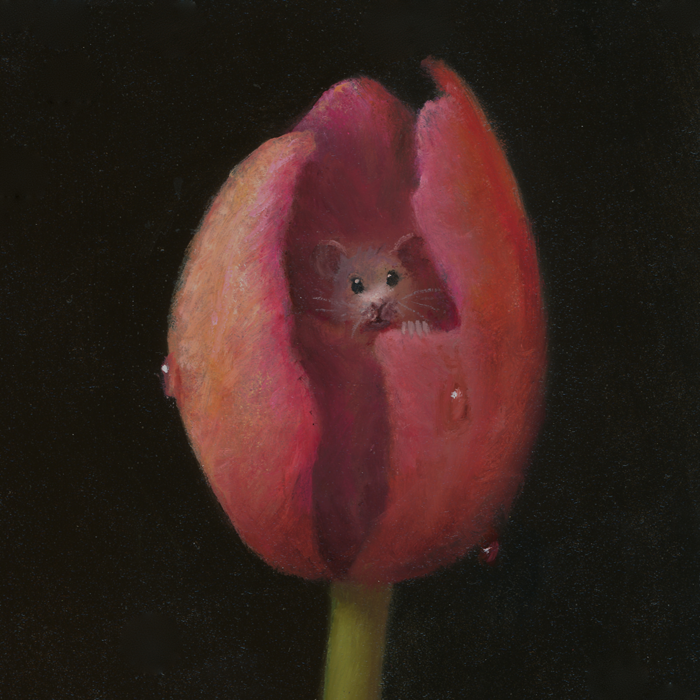 Safe Place - Stuart Dunkel