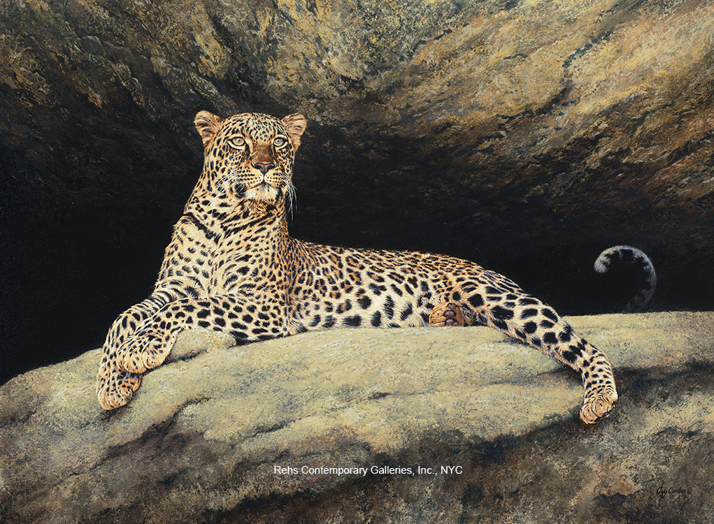 Top Shelf (Leopard) - Combes, Guy