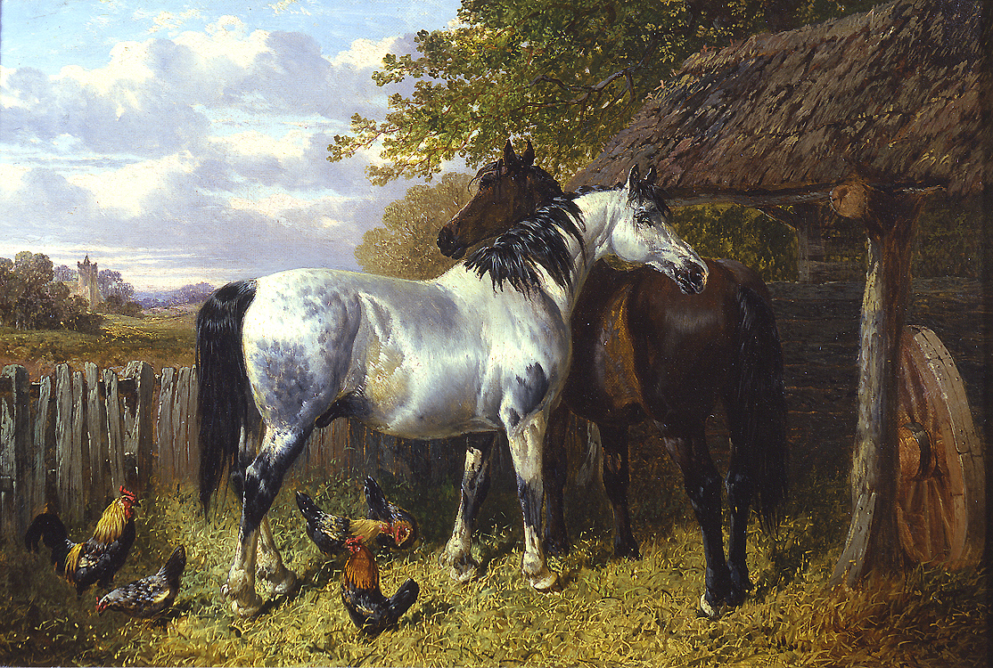 Horses and Poultry in a Paddock - Herring, Jr. John F.