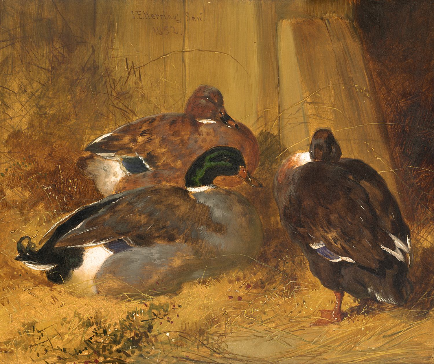 Farmyard Scene with 3 Ducks (one of a pair) - John F. Herring, Sr.