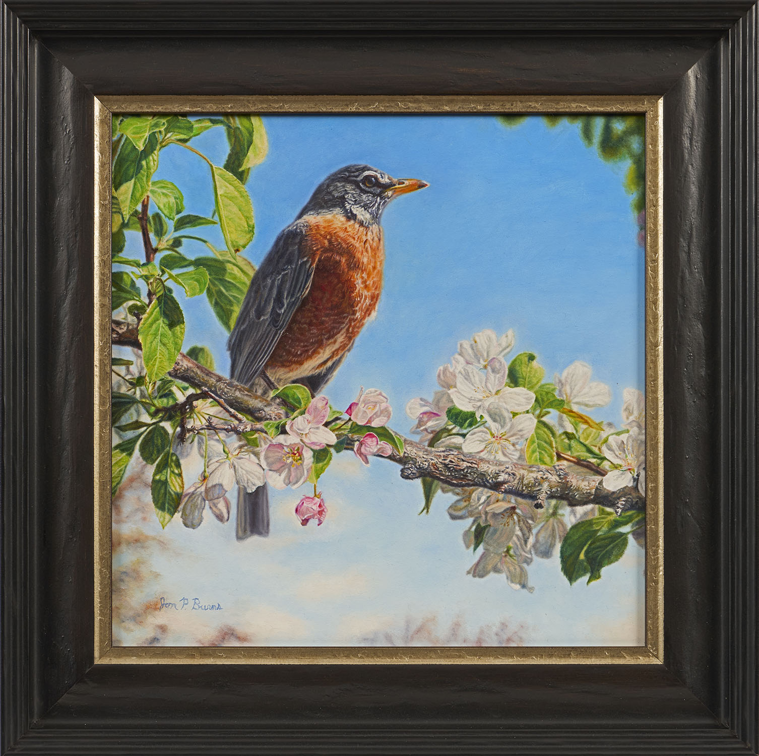 Out on a Limb - Jon Burns