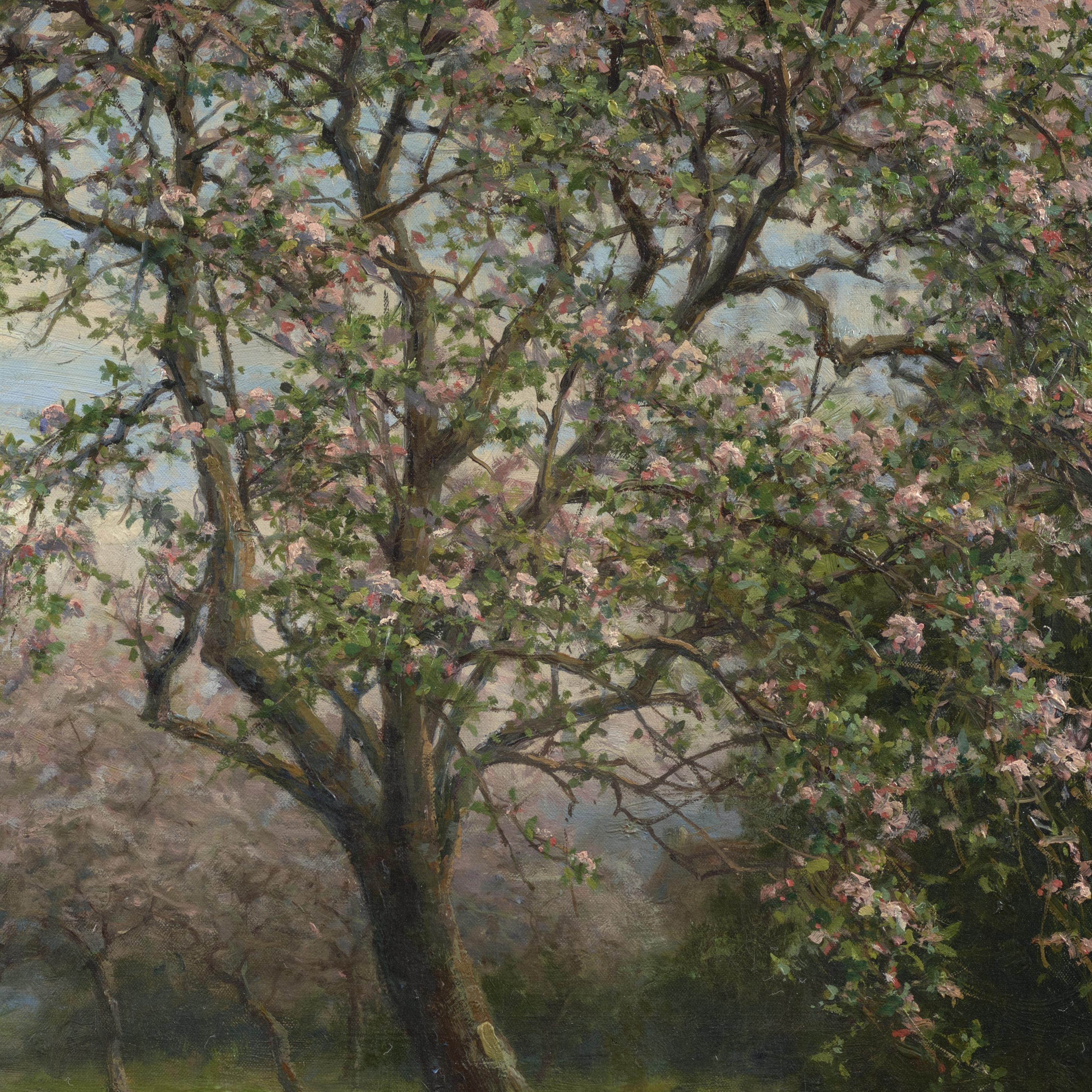 Apple Blossoms - Louis Aston Knight
