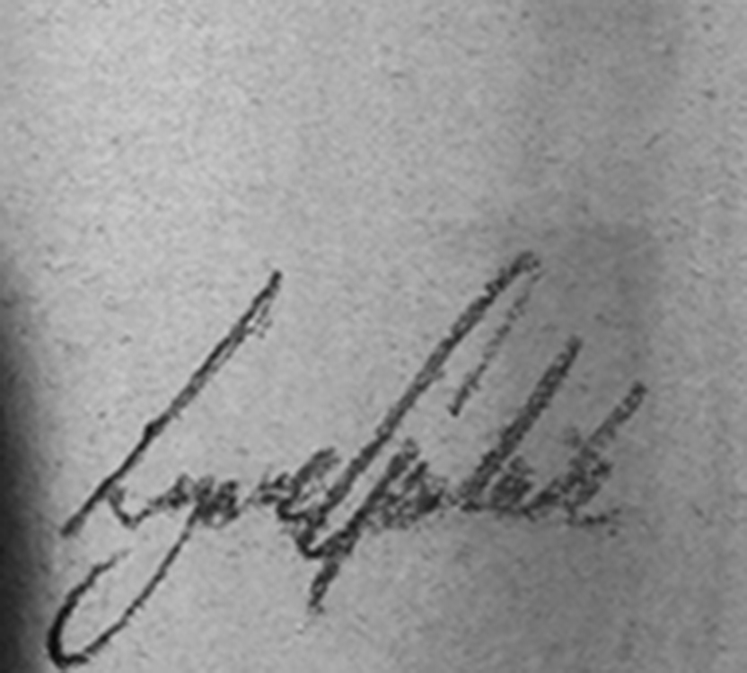 lynne_garlick_bg1001_odds_on_favourite_signature.jpg