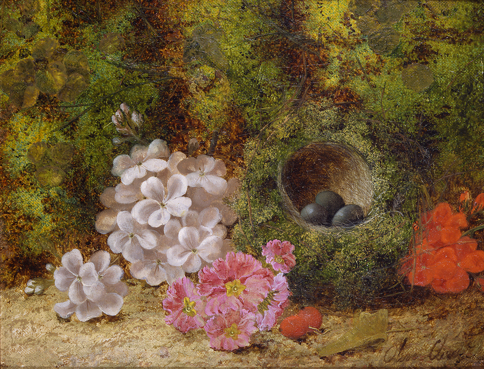 oliver_clare_a3202_still_life_with_flowers_and_birds_nest.jpg