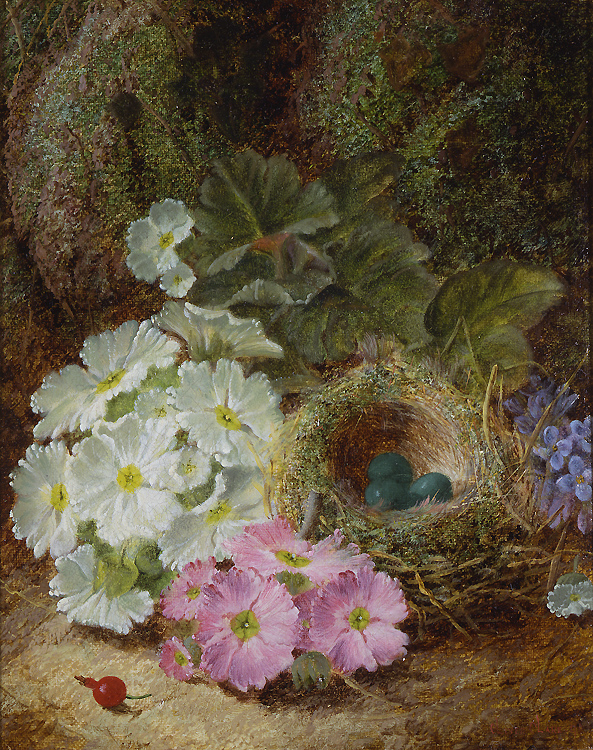 oliver_clare_a3233_flowers_a_berry_and_a_birds_nest.jpg