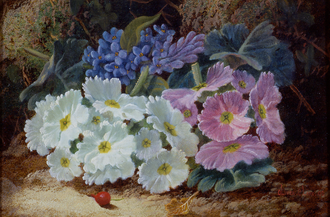 oliver_clare_a3406_still_life_of_flowers.jpg