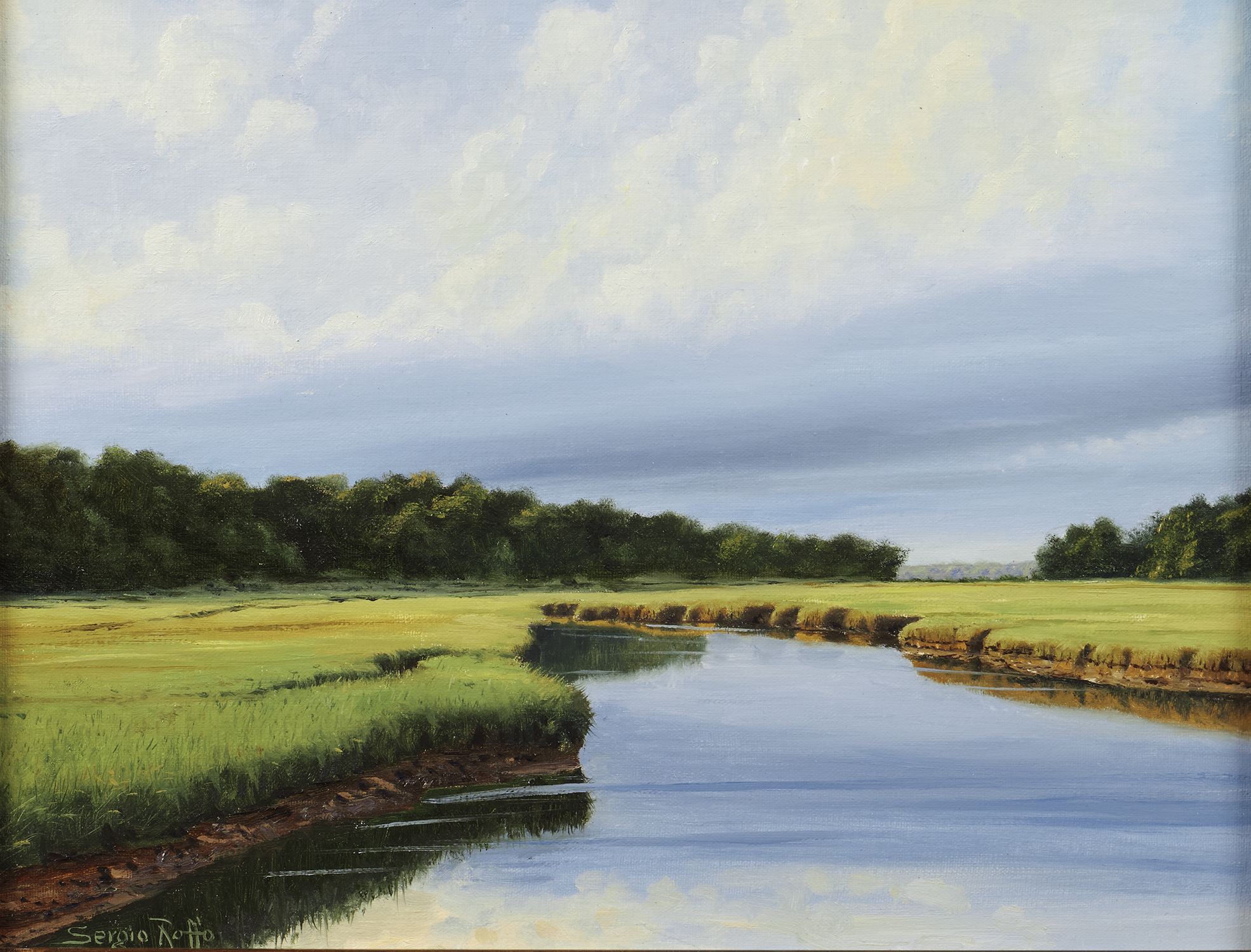 The Ever-Changing Marsh - Sergio Roffo