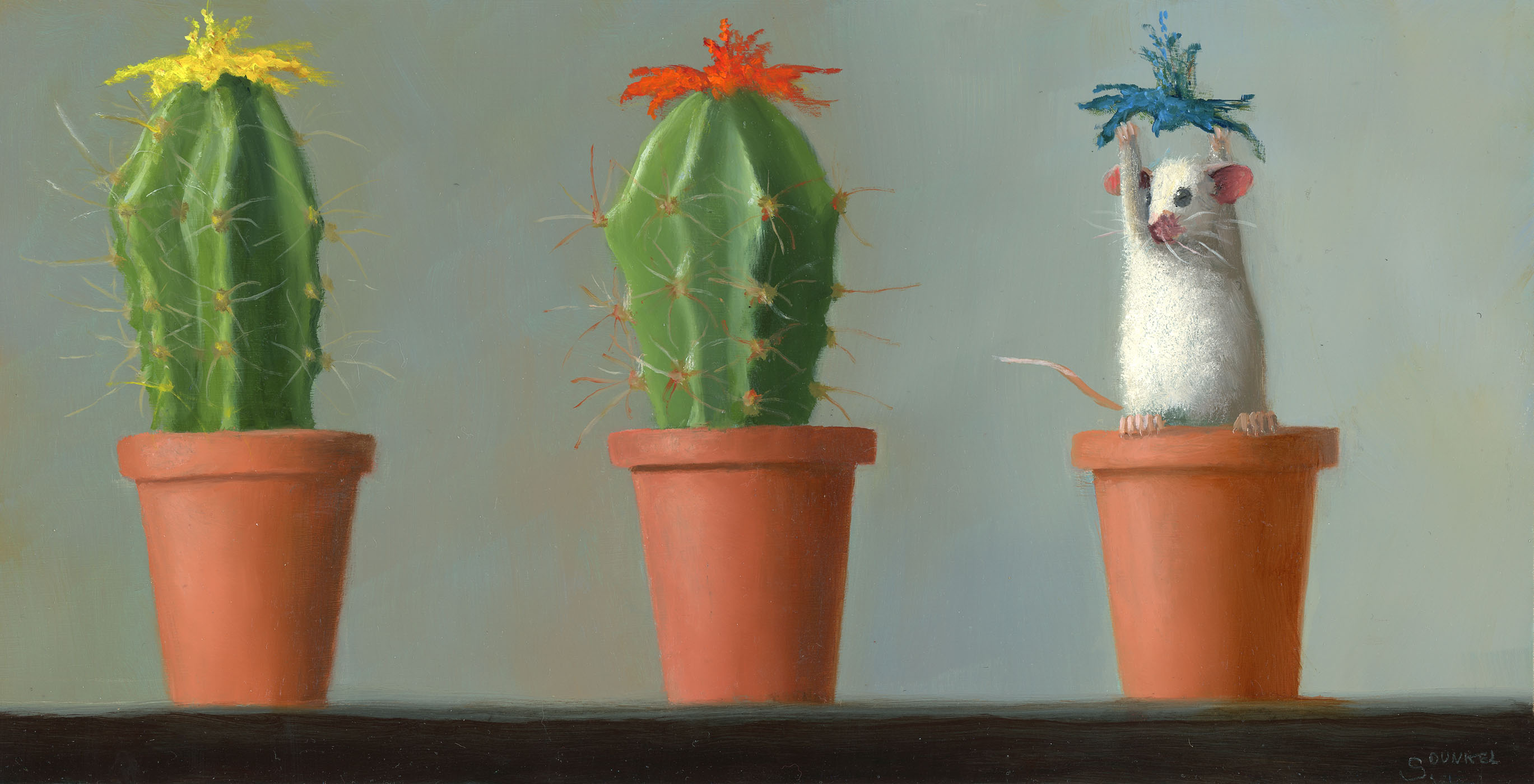 Be the Cactus - Stuart Dunkel