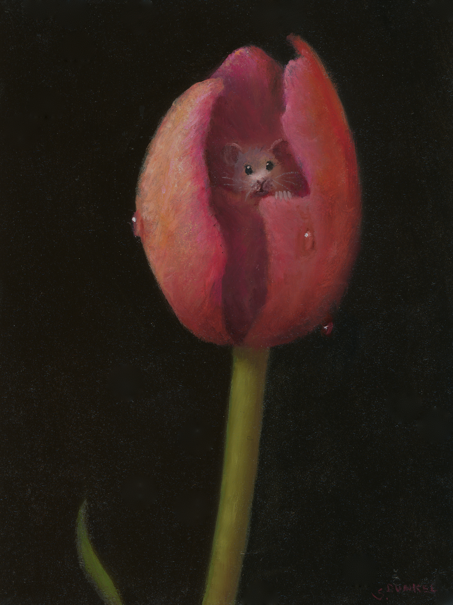 Safe Place - Stuart Dunkel