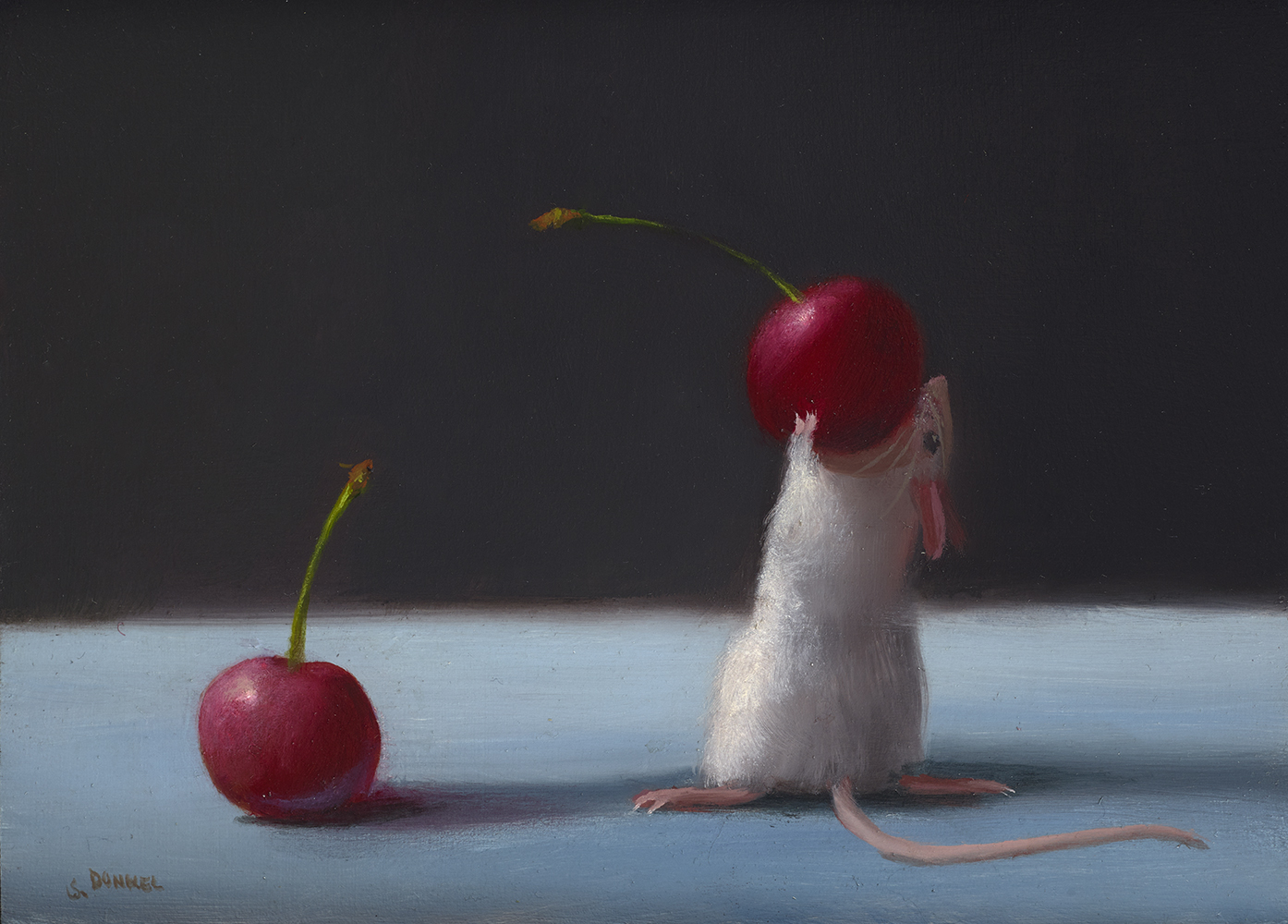 Two Cherries - Dunkel Stuart