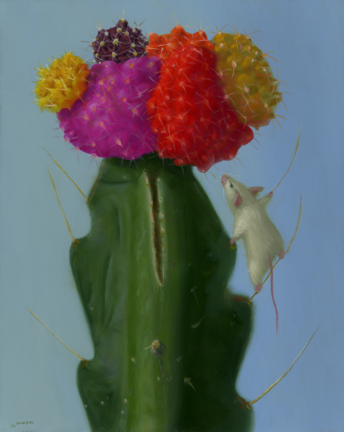 Cactus Climber - Dunkel Stuart