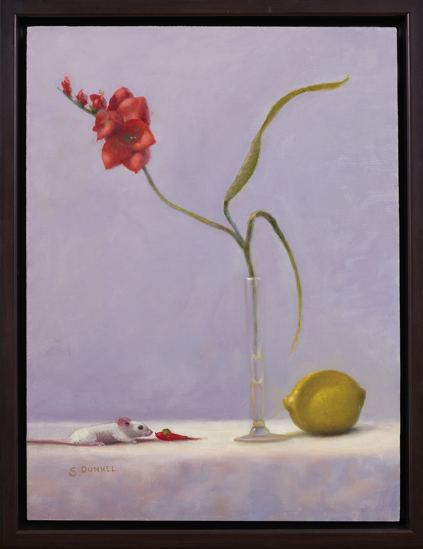 Lemon + Orchid - Dunkel Stuart