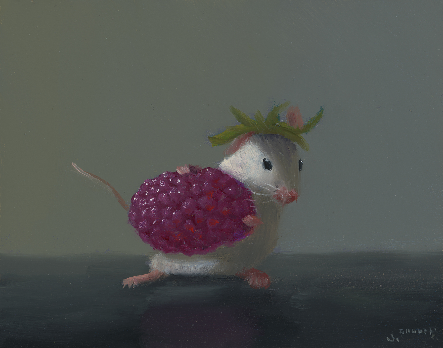 Raspberry Snack - Dunkel Stuart