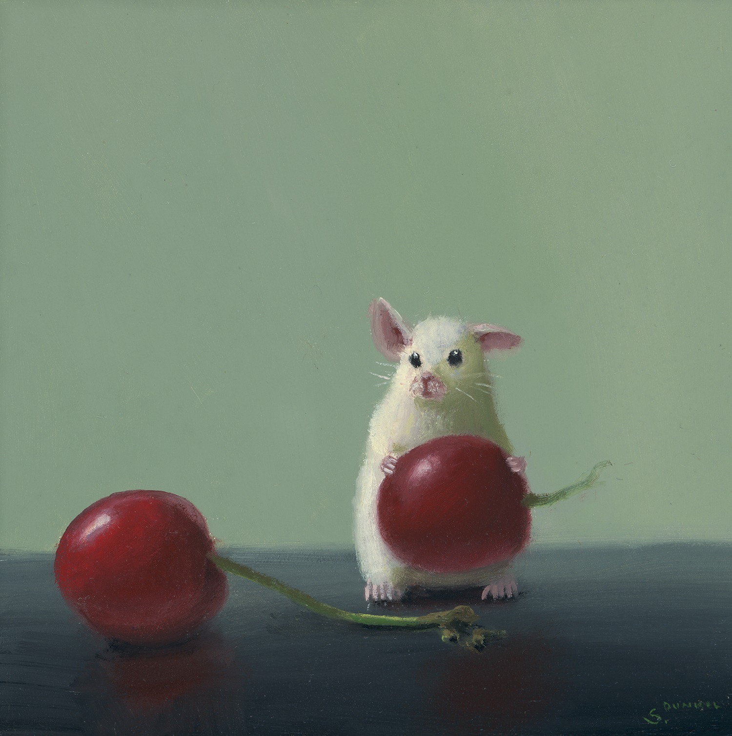 Cherry Picking - Stuart Dunkel