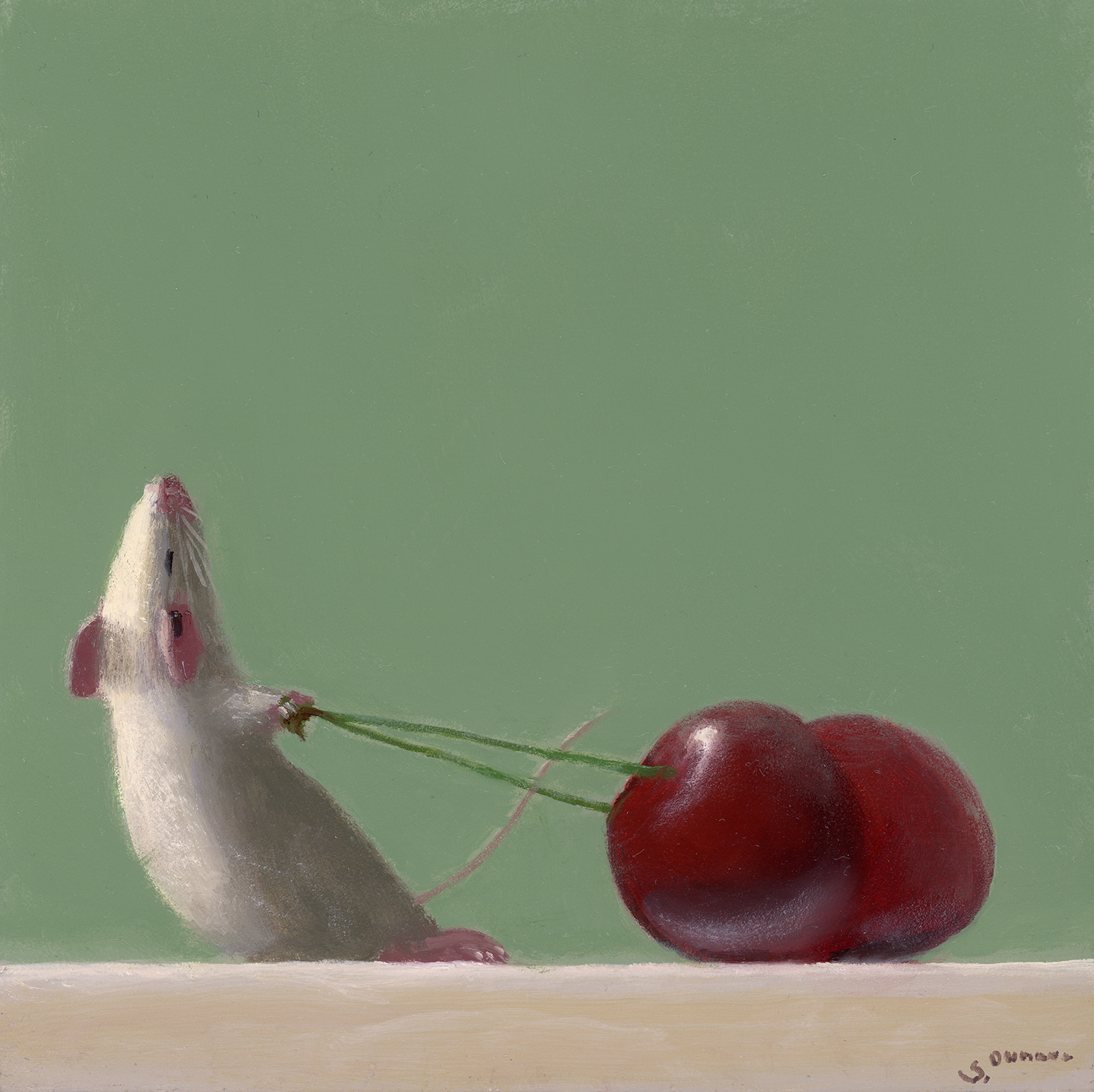 Catching Cherries - Dunkel Stuart