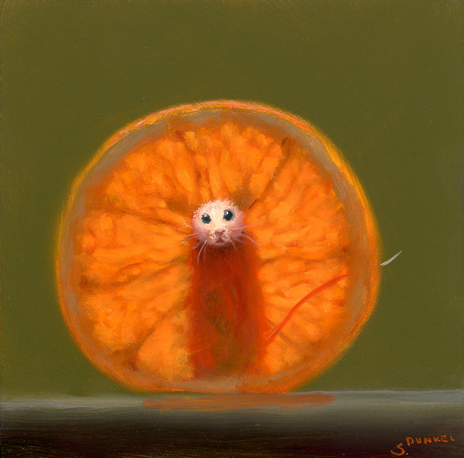 Orange Xray - Dunkel, Stuart