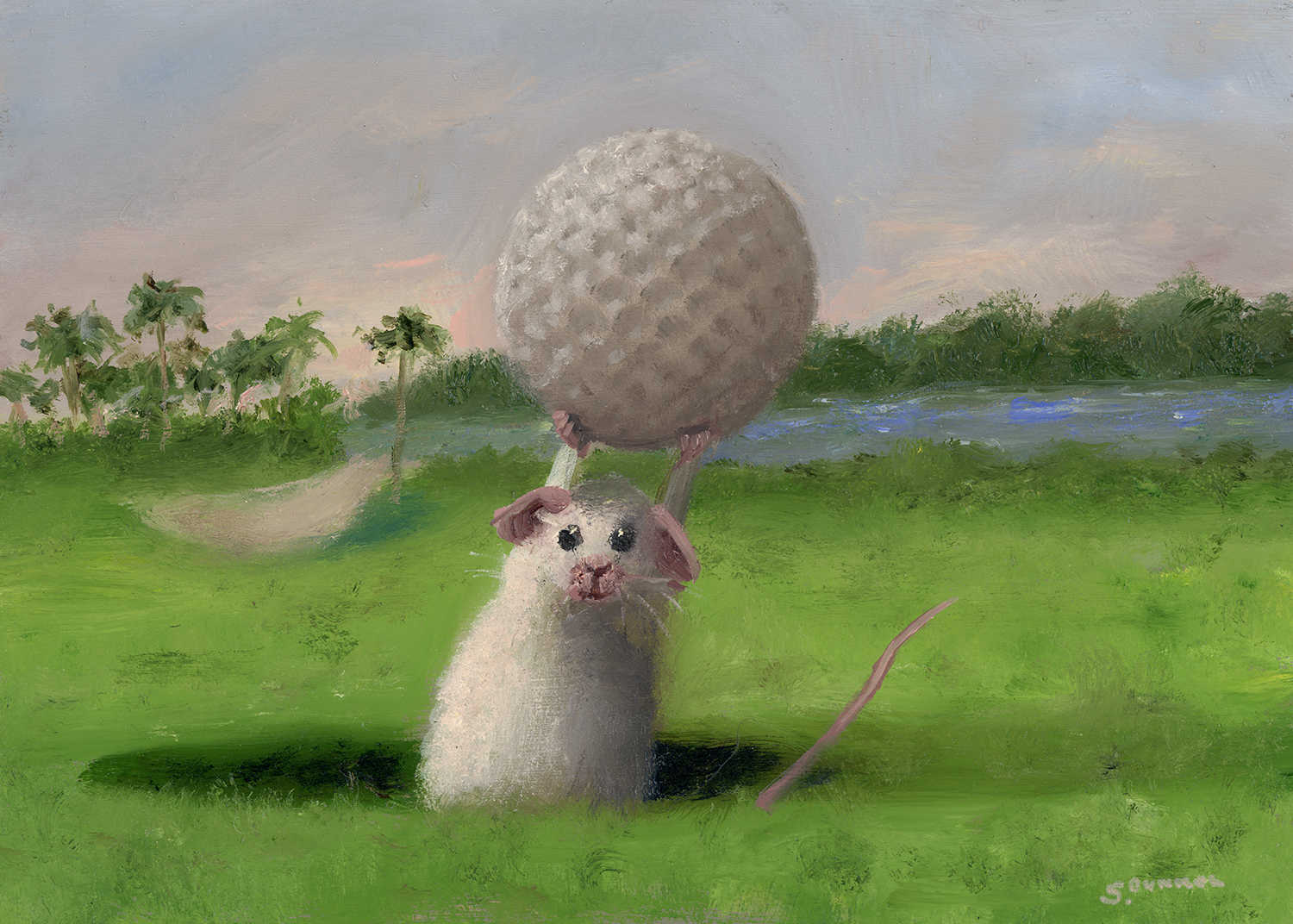Hole in One - Stuart Dunkel