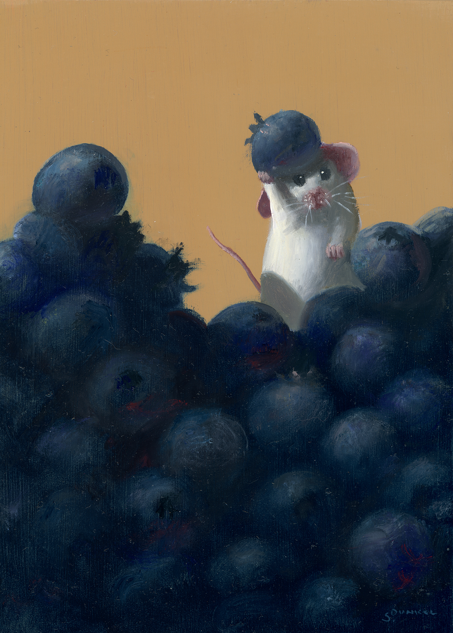 Blueberry Mountain - Stuart Dunkel