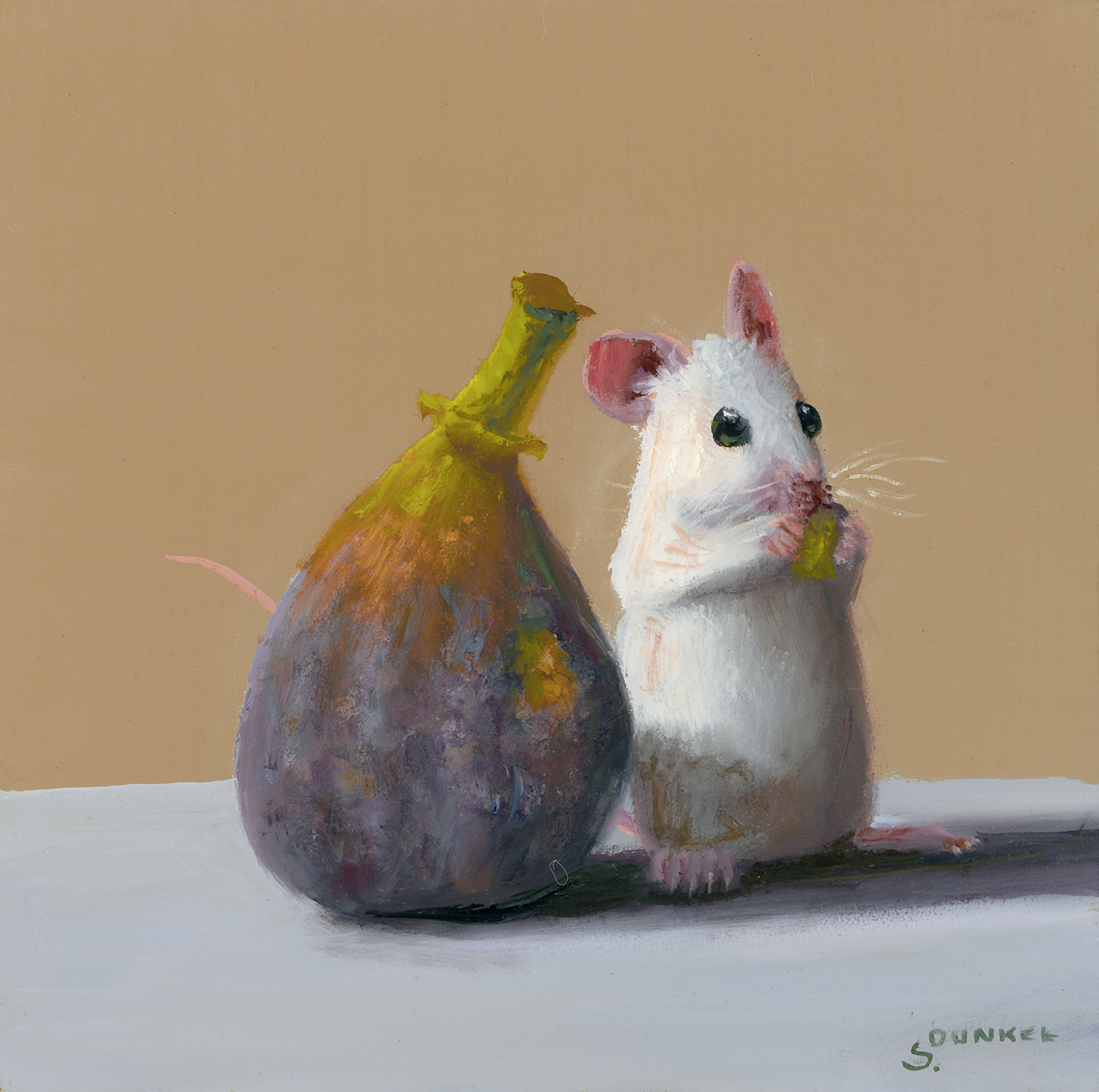 Fig Friend - Stuart Dunkel