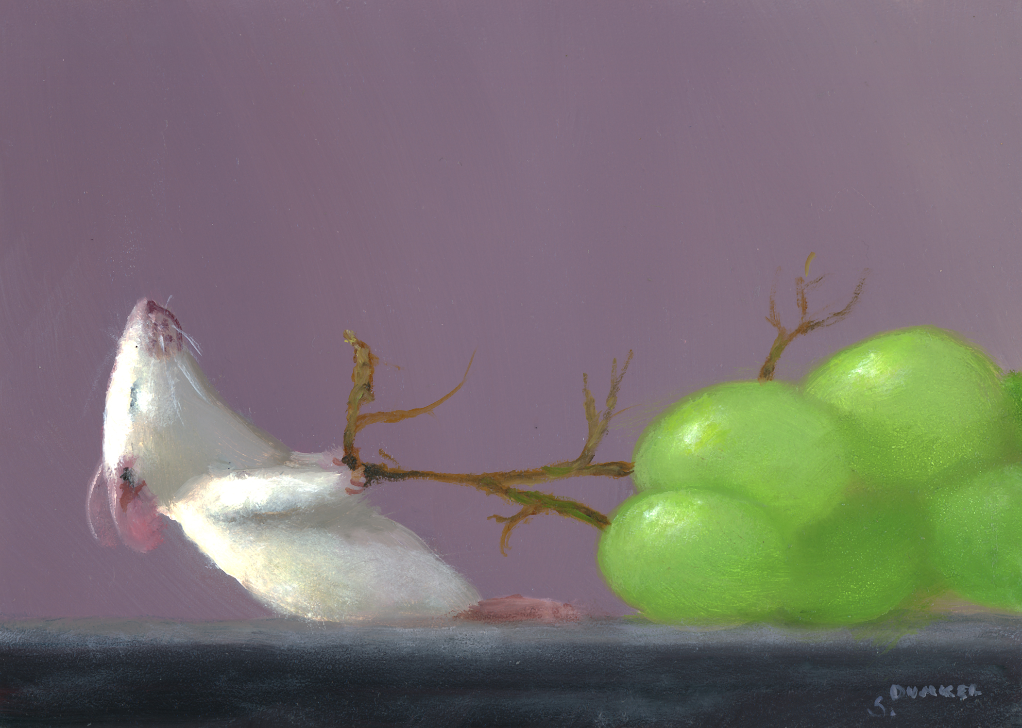 Grape Hunter - Stuart Dunkel