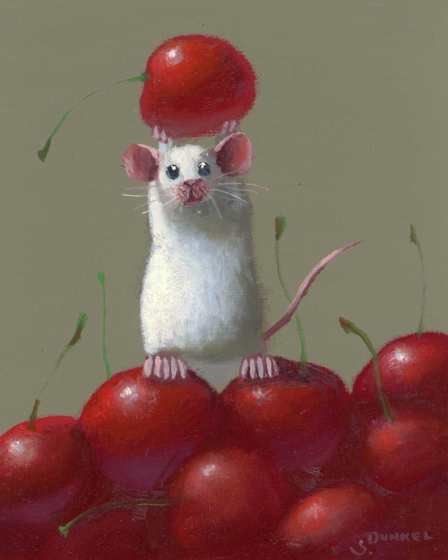 Best Cherry, 2026 - Dunkel Stuart