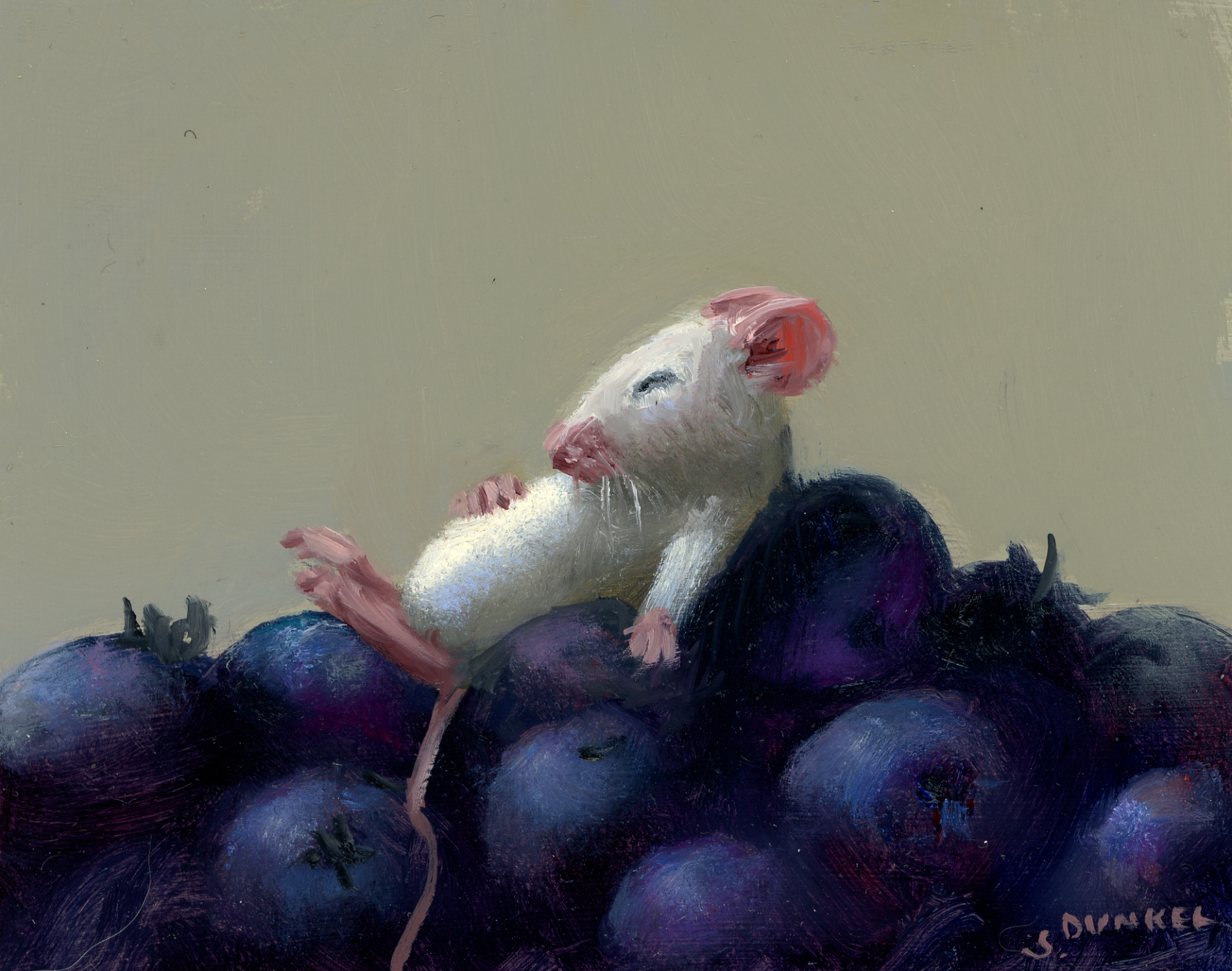 Blueberry Pillow, 2026 - Dunkel Stuart