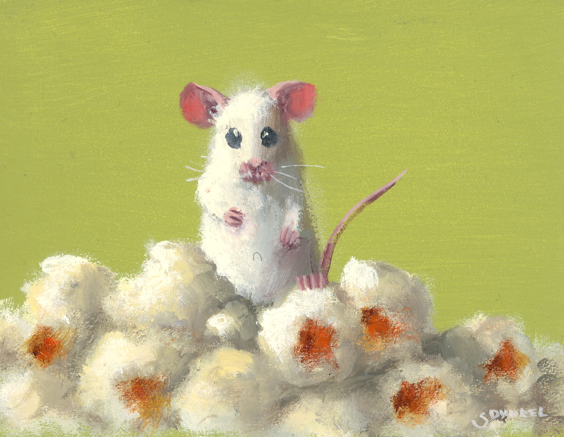Popcorn Discovery, 2026 - Dunkel Stuart