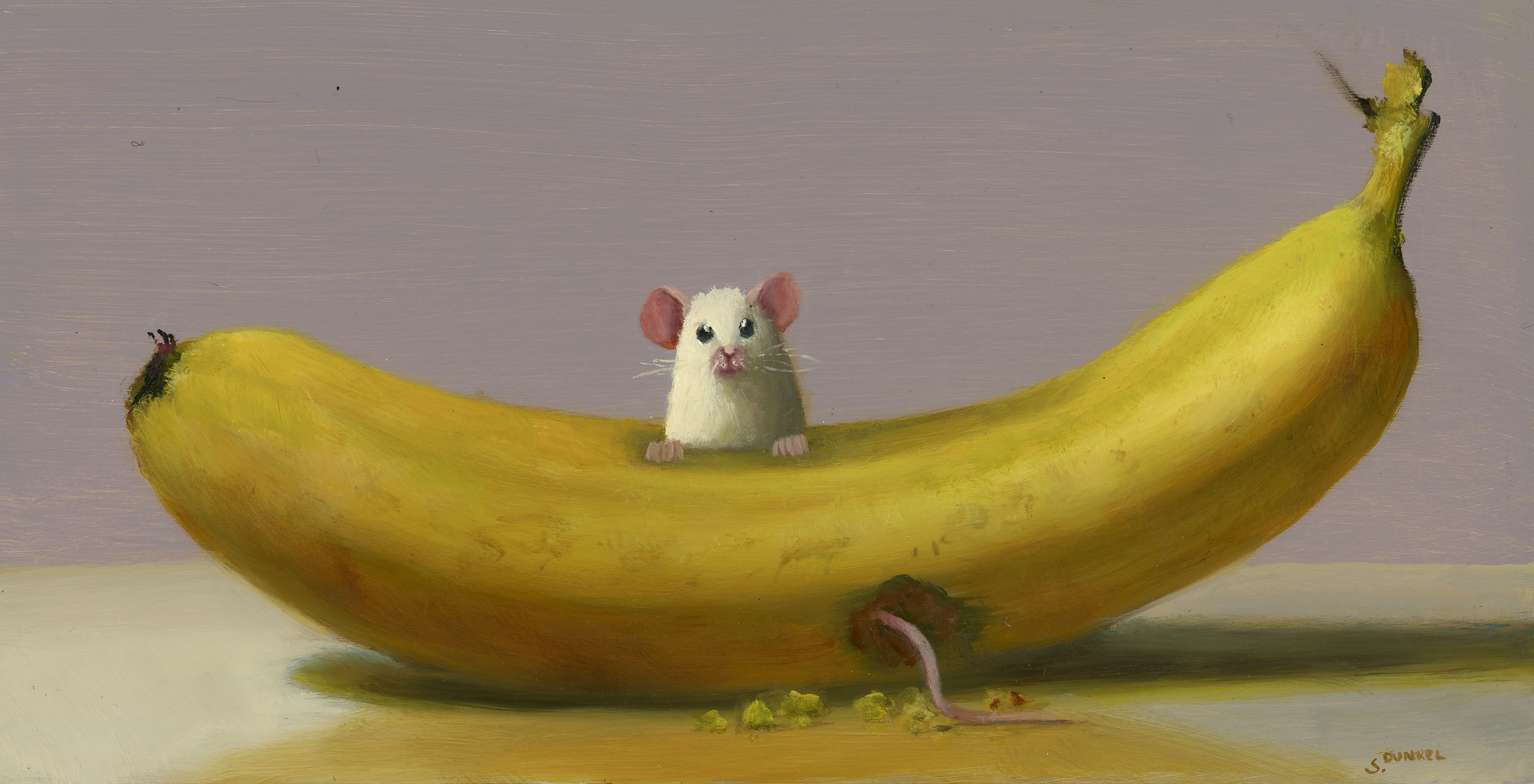 Banana Condo, 2026 - Dunkel Stuart