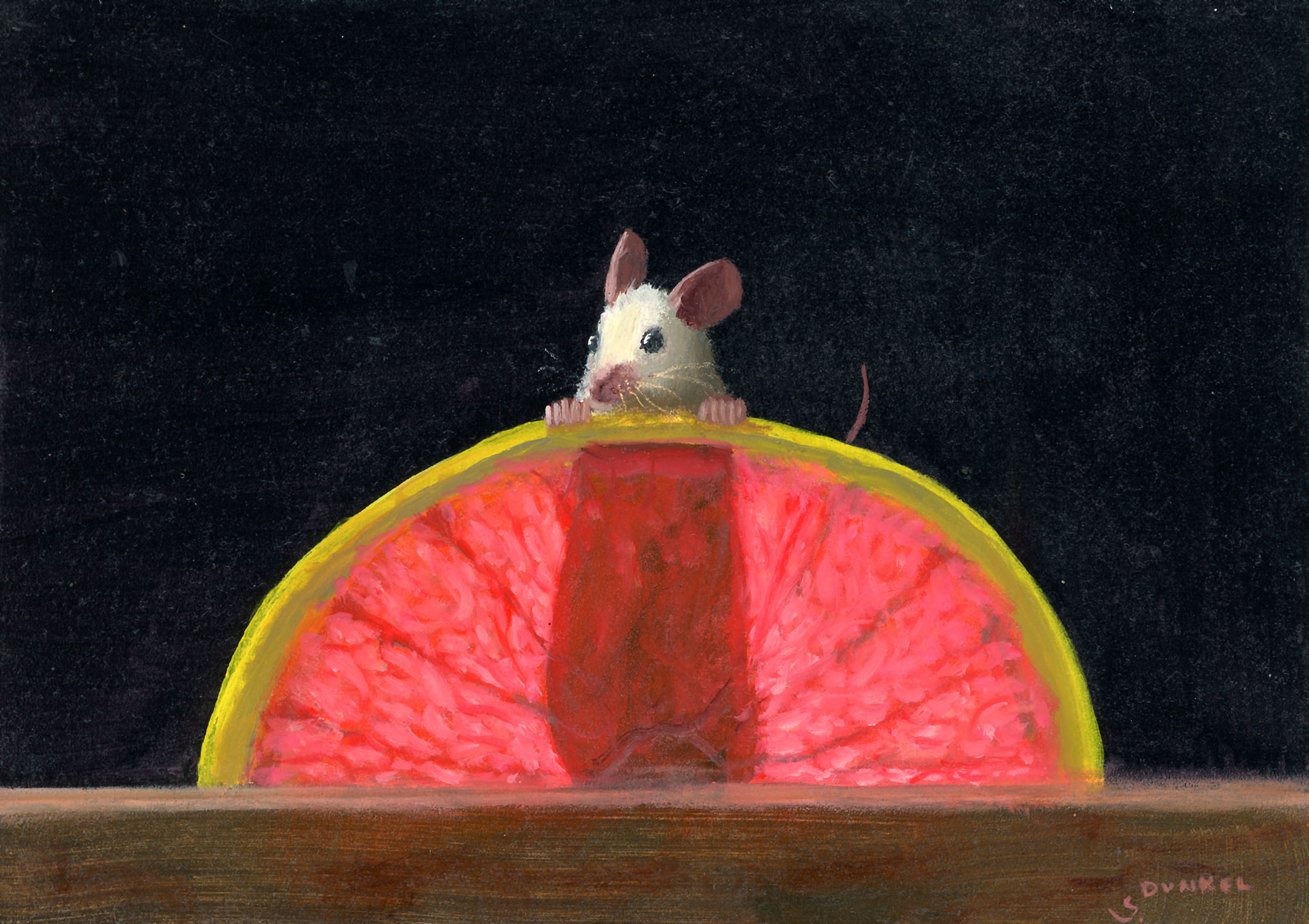Grapefruit X Ray, 2026 - Dunkel Stuart