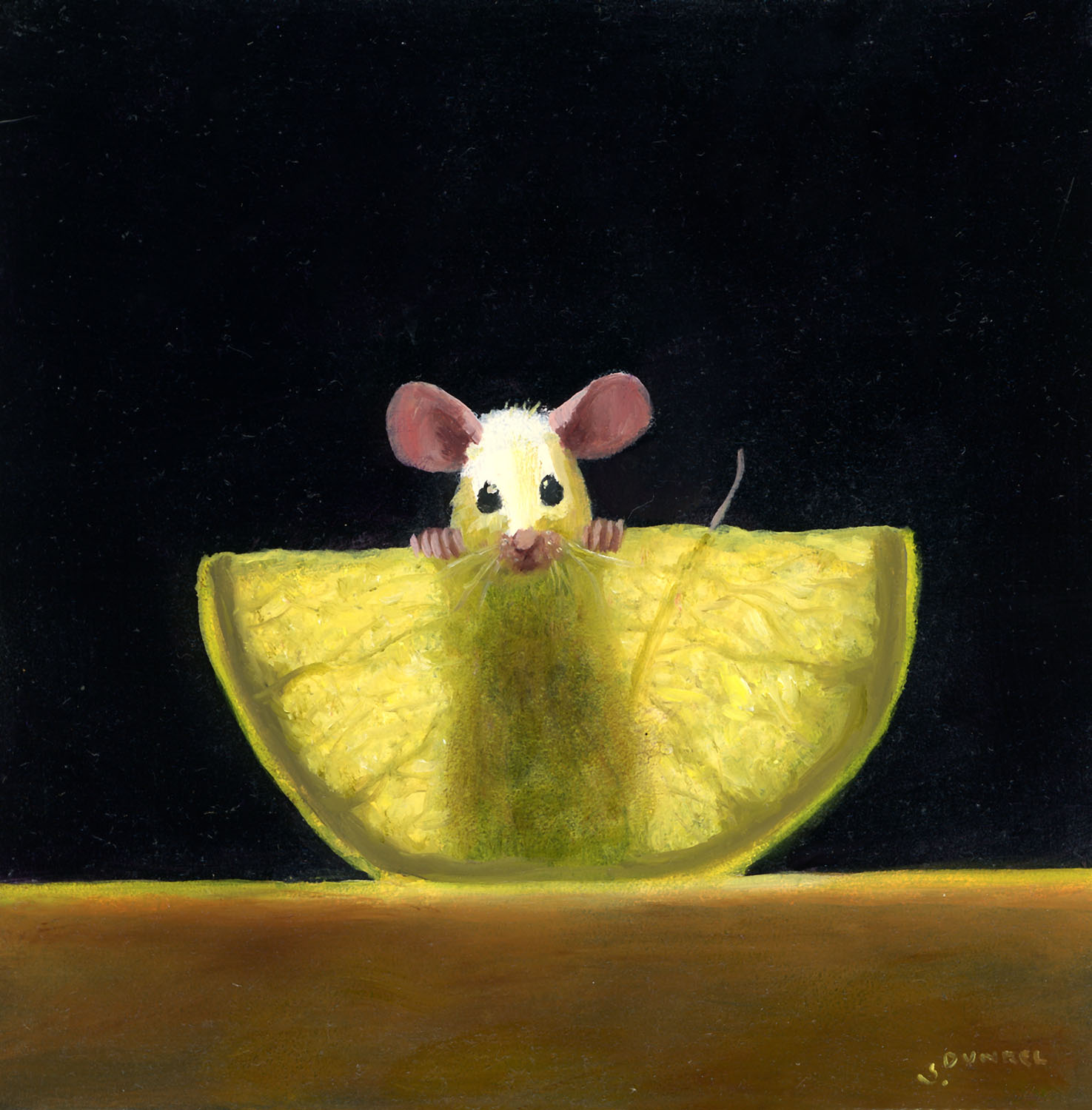 Lemon X Ray, 2026 - Dunkel Stuart