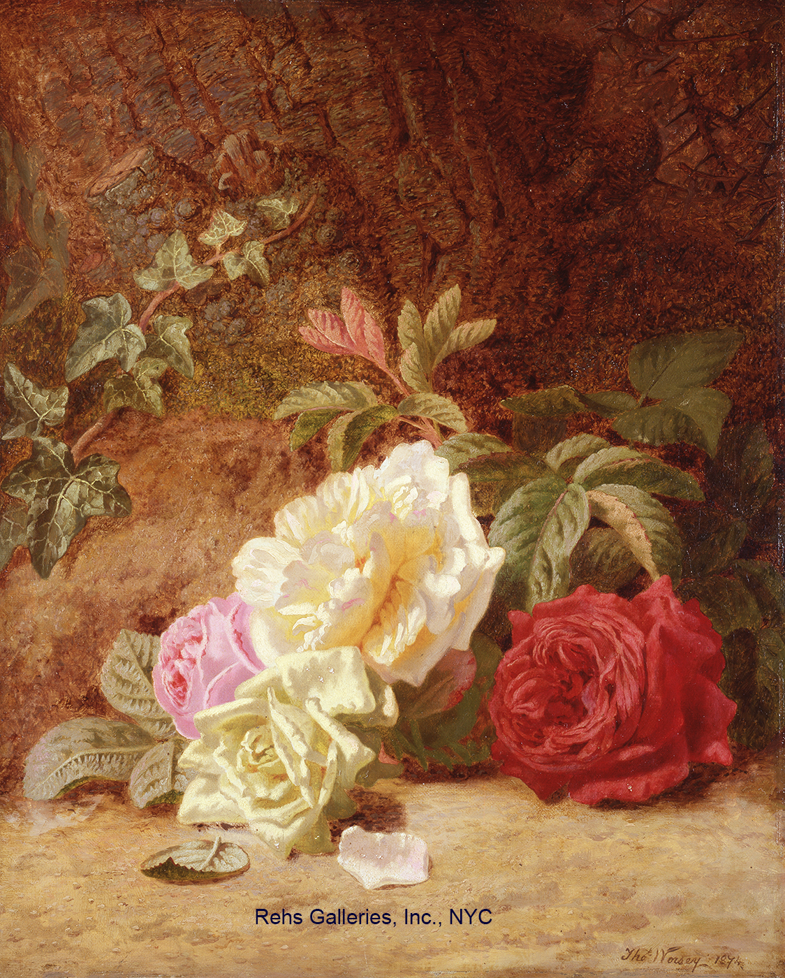 Still Life of Roses - Worsey, Thomas