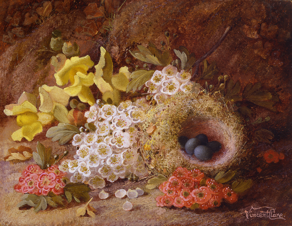 vincent_clare_a3241_flowers_and_birds_nest_on_a_mossy_bank.jpg
